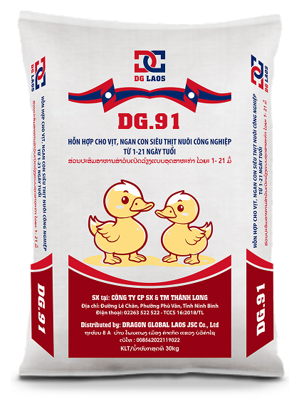DG.91